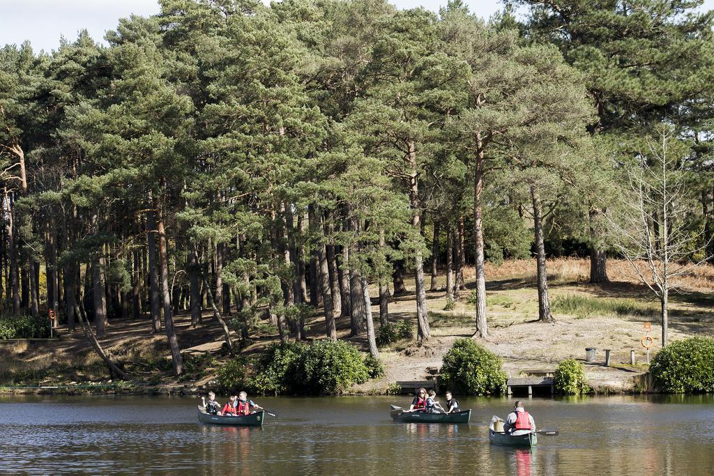 Avon Tyrrell Outdoor Activity Centre Villa Bransgore Eksteriør bilde